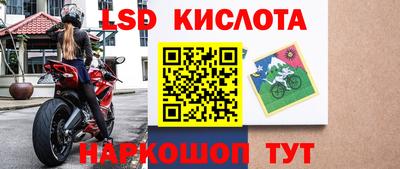 шишки Гатчина