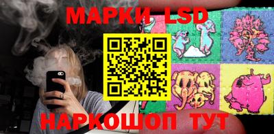 шишки Гатчина