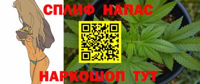 гидра Гай