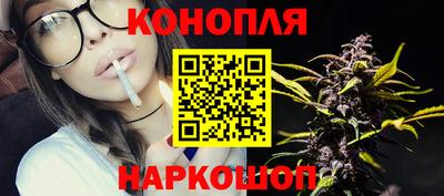 шишки Гатчина