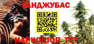 шишки Гатчина