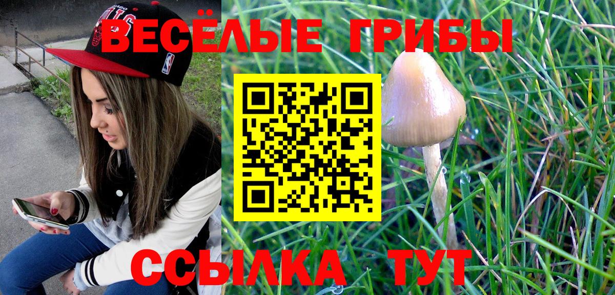 Галлюциногенные грибы прущие грибы  Вход с VPN  как найти наркотики  Кропоткин 